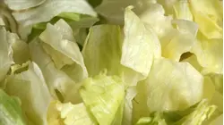 Stomach illness linked to Taco Bell lettuce