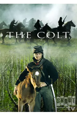 The Colt