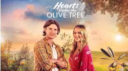 Hearts Under the Olive Tree