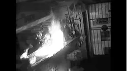 World's Wildest Police Videos