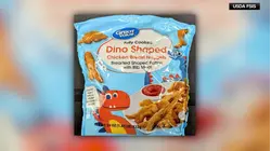 Dino nuggets recalled due to possible lead contamination