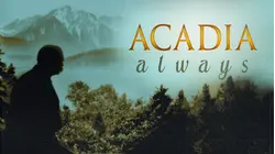 Acadia Always