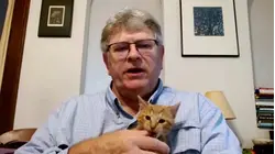 Man Adopts Stay Kitten at the Airport After Missing His Flight
