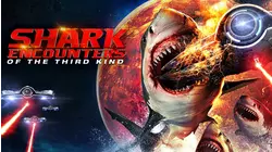 Shark Encounters of The Third Kind