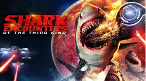 Shark Encounters of The Third Kind