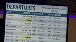 Aviation experts warn public to be prepared for ground stops amid government shutdown