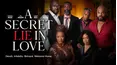 A Secret Lie in Love