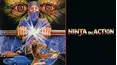 Ninja in Action