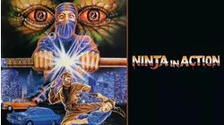 Ninja in Action