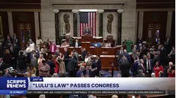 Lulu's Law heads to President Trump's desk following bipartisan approval