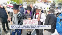 Workers rally ahead of vote to phase out horse drawn carriages in NYC
