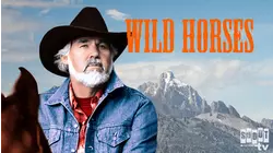 Wild Horses