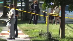 3 shot leaving popular basketball tournament in Westchester County