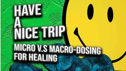 Have a Nice Trip: Micro v.s Macro Dosing for Healing