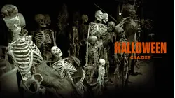 Halloween Crazier
