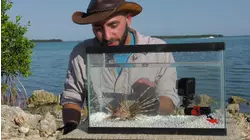 Ocean Dwellers