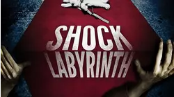 Shock Labyrinth