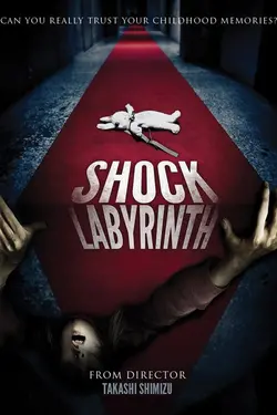Shock Labyrinth