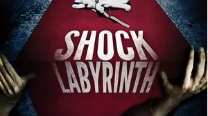 Shock Labyrinth