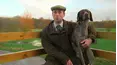 Superstar Dogs