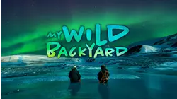 My Wild Backyard
