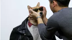 Ep. 1.6