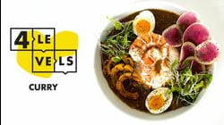 4 Levels of Curry: Amateur to Food Scientist