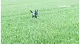 Best Pets of the Month