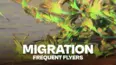 Migrations - Frequent Flyers