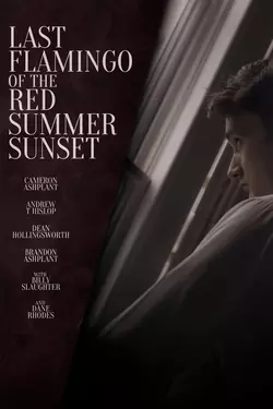 Last Flamingo of the Red Summer Sunset