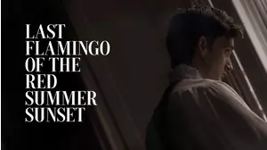 Last Flamingo of the Red Summer Sunset