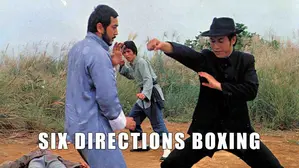 Six Directions Boxing