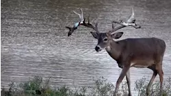 No Limits Hunting S7:E11 "Dreams Do Come True"