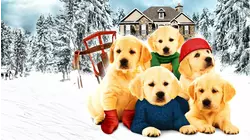 Golden Winter