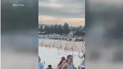 At least 11 killed in shooting targeting Australia's Jewish community at Bondi beach