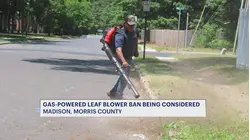 Madison residents divided in leaf blower battle