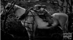 Little Rascals Shorts: Three Men In A Tub
