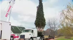 Rockefeller Center Christmas tree is on its way to NYC
