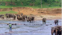 Sri Lanka - The Emerald Isle