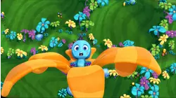 Boomer's First Flight / Tack's Obstacle Course