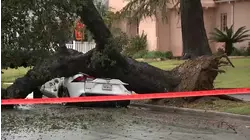 Tree smashes car in Altadena as burn scar is hit with heavy downpour