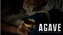 Agave: The Spirit Of A Nation
