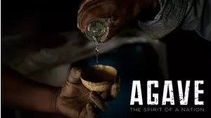 Agave: The Spirit Of A Nation