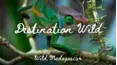Destination Wild: Wild Madagascar