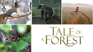 Tale of a Forest