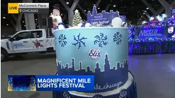 Mag Mile Lights Parade sweater and cheesecake