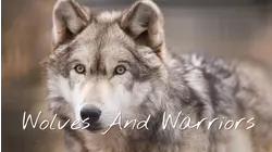 Welcome to the Wolf Sanctuary