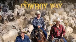 Buck Up, Cowboy
