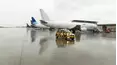 Mega Shippers: Land, Air & Sea