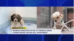 45-year-old woman charged after 27 animals removed from Ocean Hill apartment